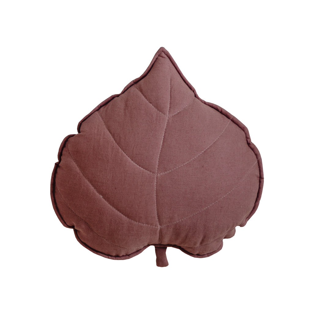 Ensemble Complet Tente-TIPI PREMIUM N°4